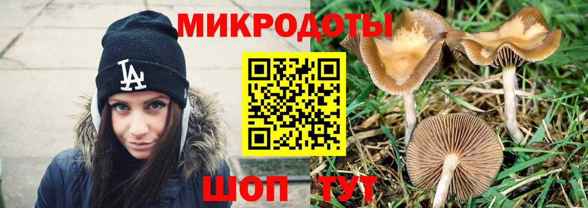 Псилоцибиновые грибы MAGIC MUSHROOMS  Вход с VPN  Кизилюрт 